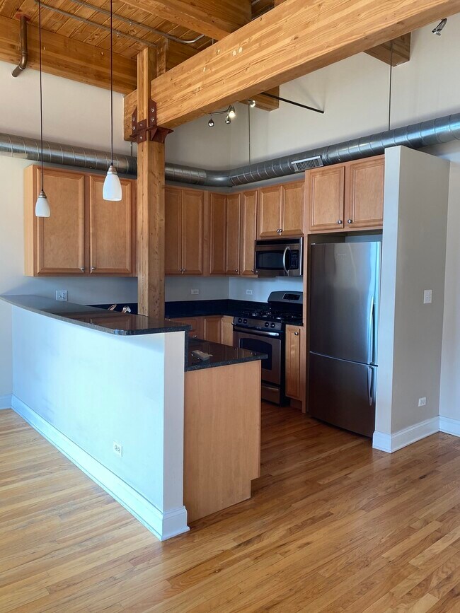1610 S Halsted St Unit 404, Chicago, IL 60608 Condo for Rent in