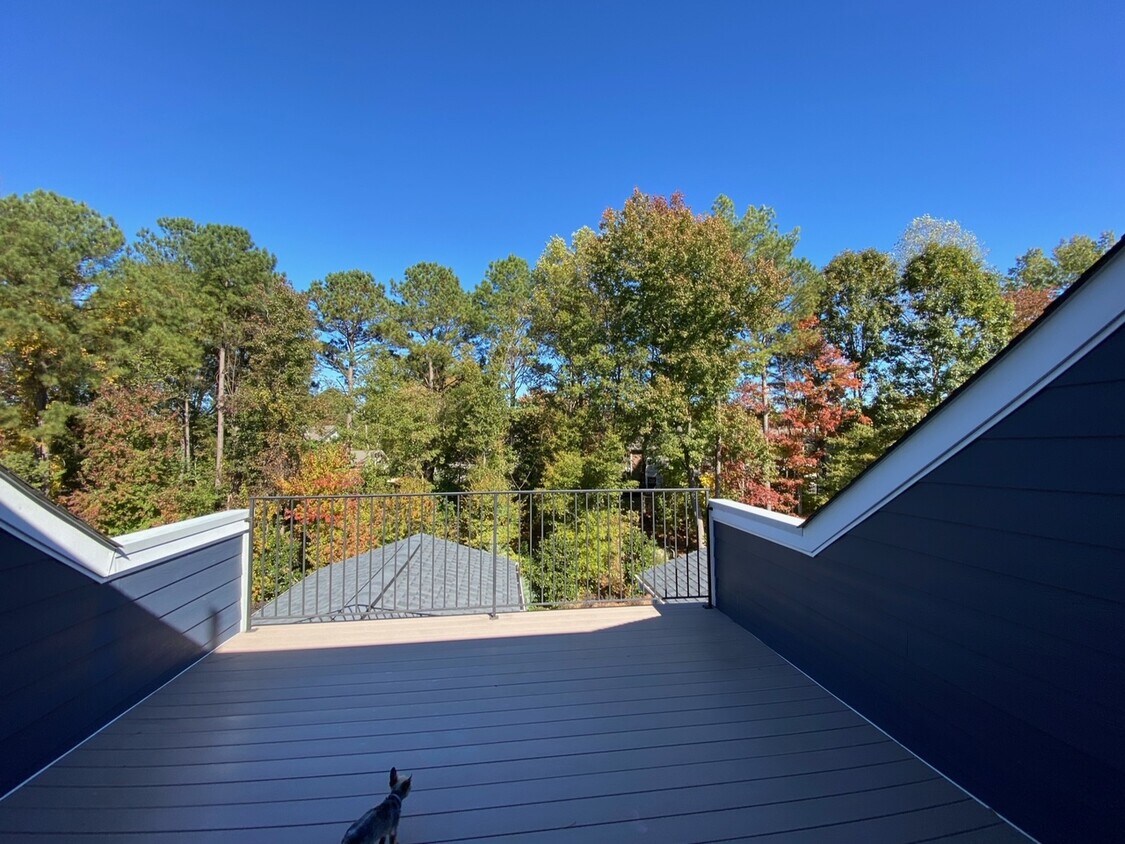 3rd Story Balcony - 465 Triumph Ln