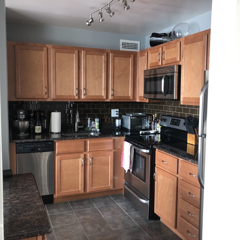 Kitchen - 1255 N Sandburg Terrace