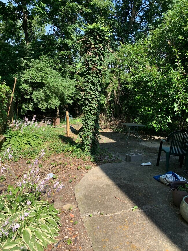 Foto del edificio - 3159 Bishop St