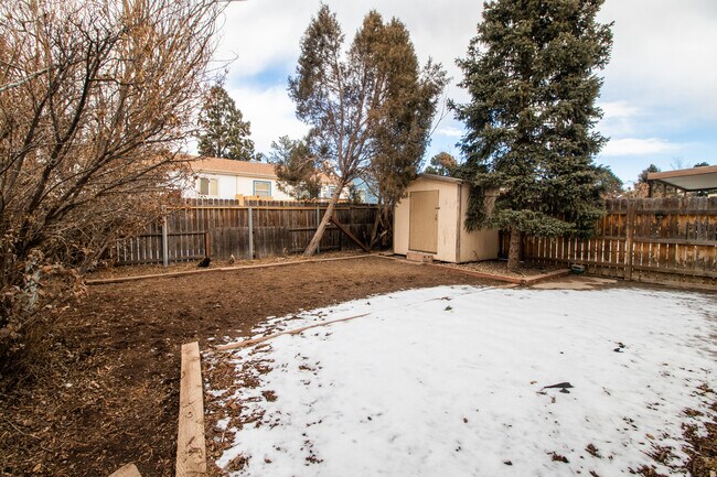 Backyard - 5742 Stoney Pass Dr