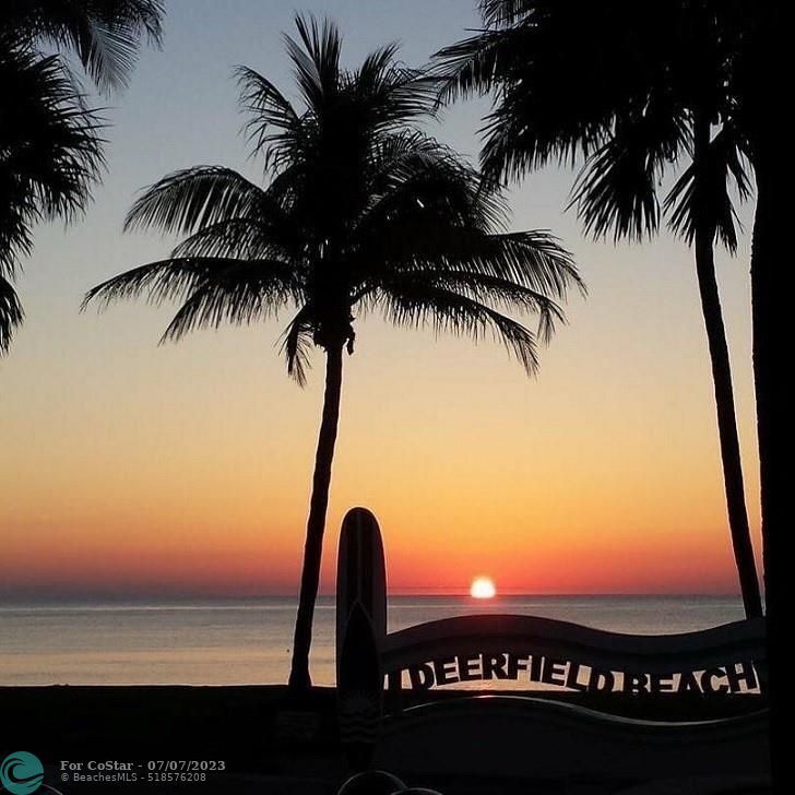 1537 E Hillsboro Blvd Unit 438, Deerfield Beach, FL 33441 Condo for Rent in Deerfield Beach