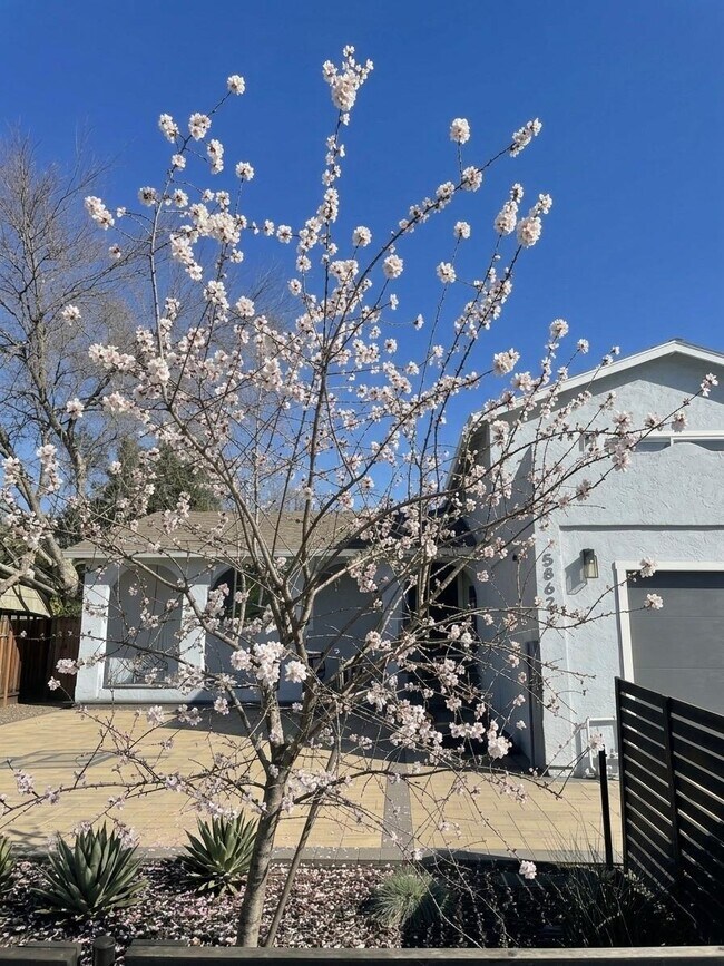 Foto del edificio - 5868 Lean Way