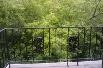 View from own patio - 181 Little Canada Rd E
