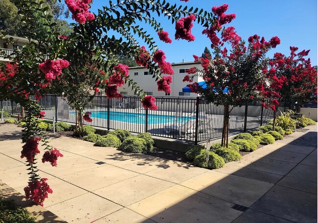 Pool - Pacific Garden Apartments