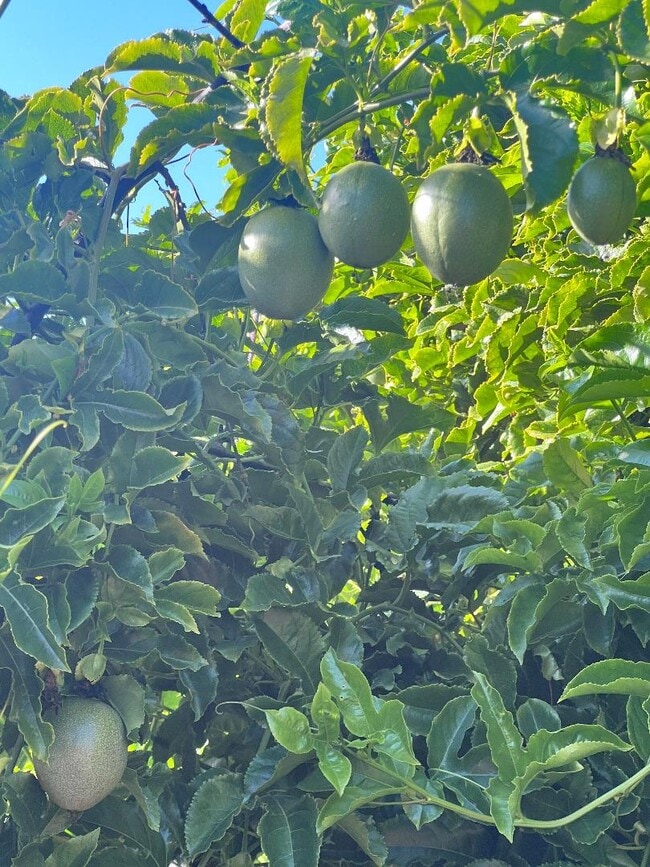 Foto del edificio - 1874 Villa St