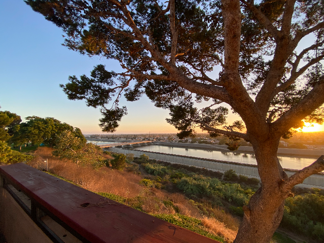 Building Photo - 2151 Pacific Ave