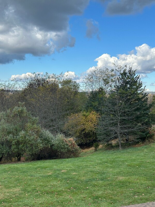 Foto del edificio - 36 Highland Cir