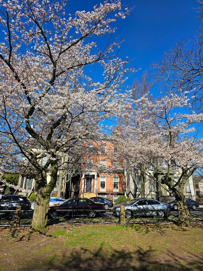 Foto del edificio - 40 Academy St