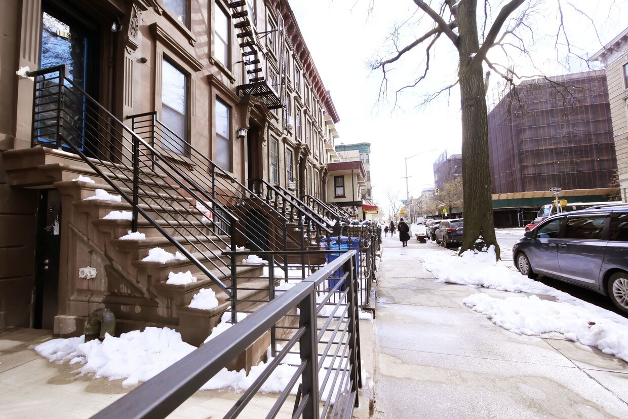 119 Albany Ave, Brooklyn, NY 11213 Apartments in Brooklyn, NY