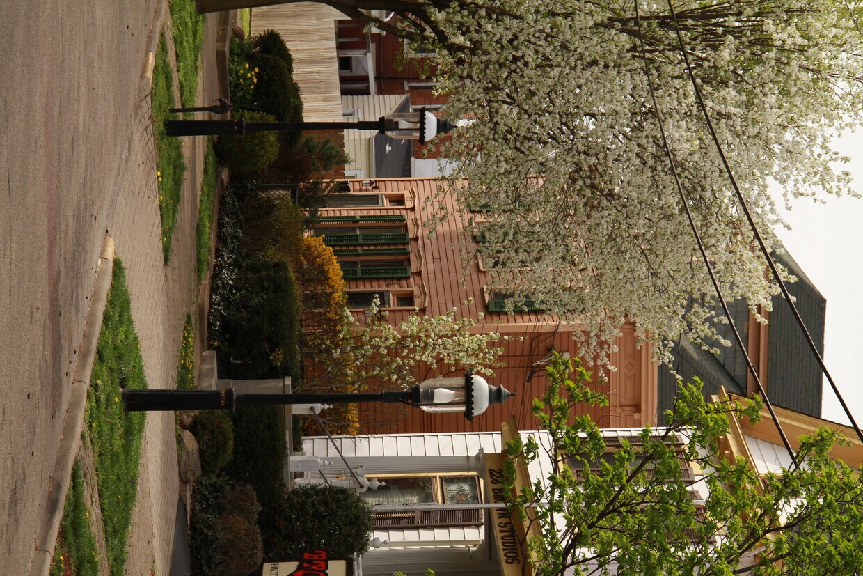 222 Village Street - 222 Village St