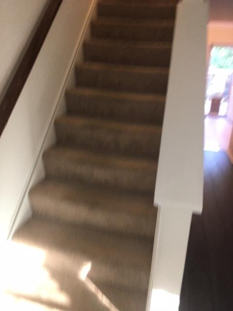 Foto del edificio - 4403 Foxtail Lane
