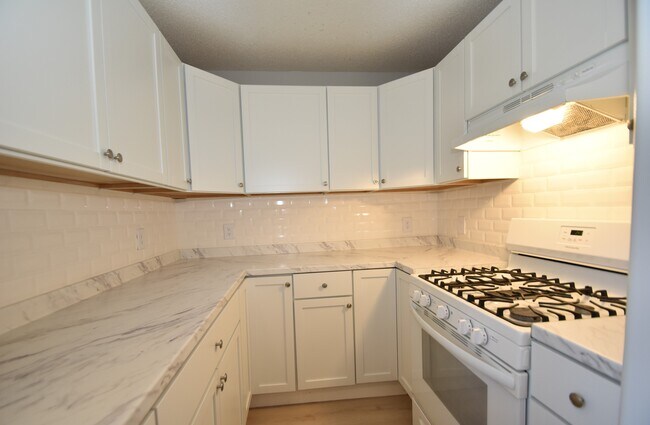 Kitchen - 51 Mountain St