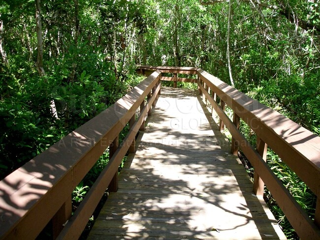 Section of Boardwalk through Nature Preserve to Lagoon & Tiki Hut & Kayak Launch - 285 Naples Cove Dr