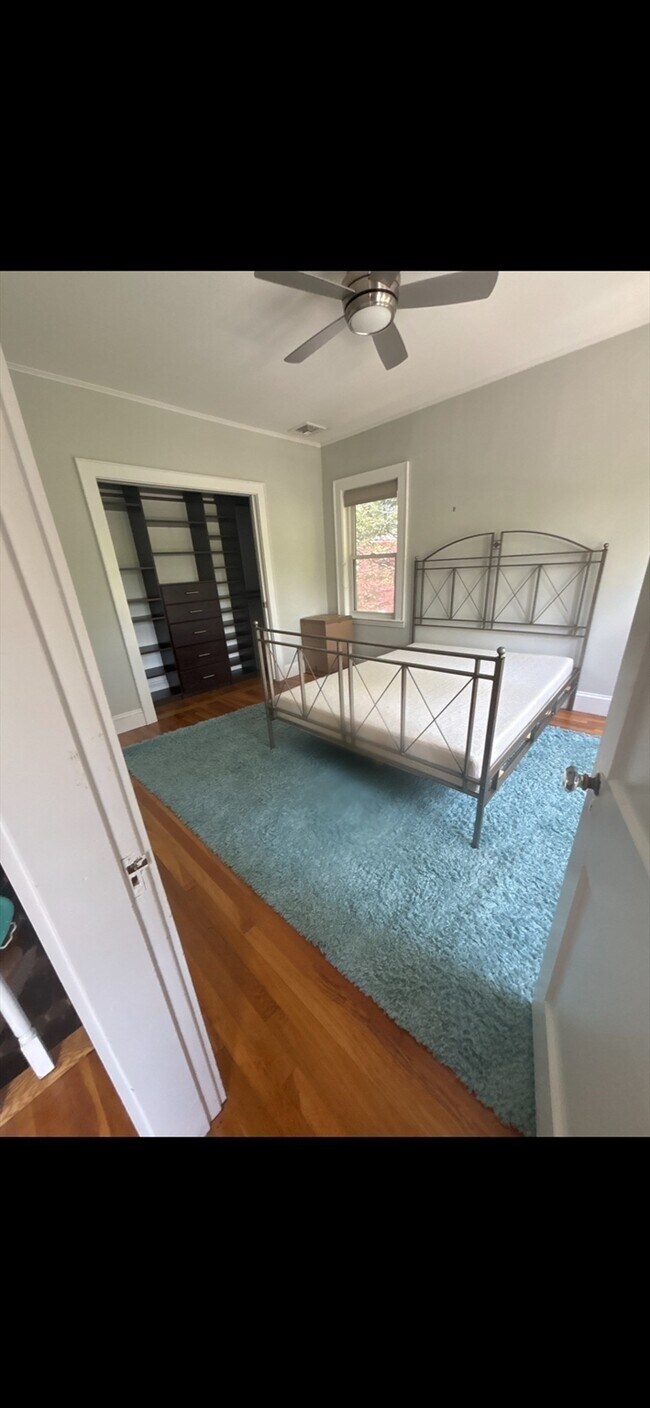 Building Photo - 569 Commonwealth Ave