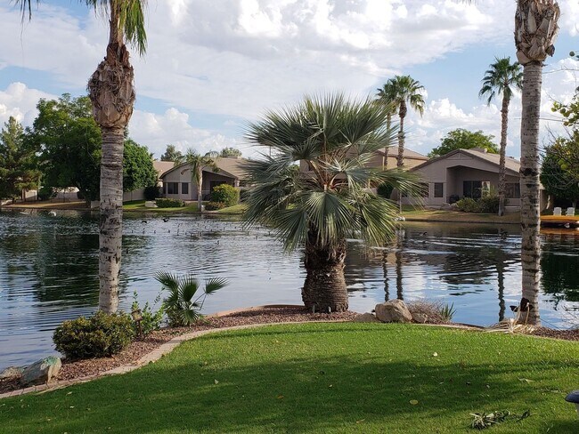Foto del edificio - Beautiful Lakefront Home in Ocotillo Lakes...