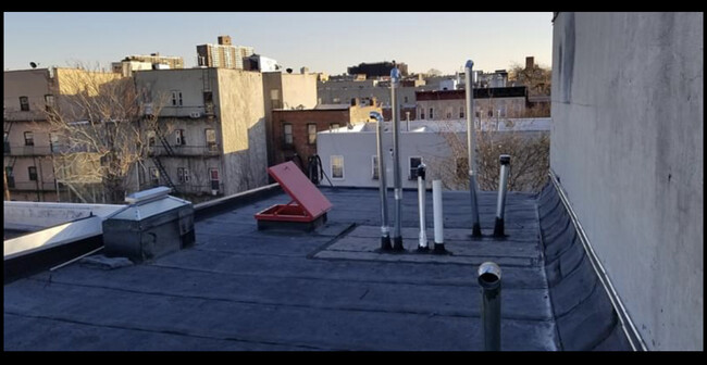 Private rooftop access - 280 Marion St