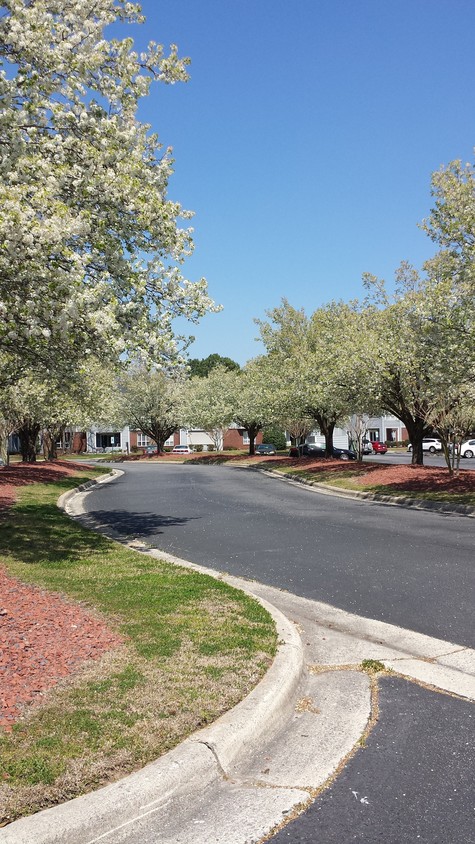 The neighborhood in Spring - 106 Breezewood Dr