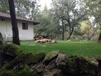 Primary Photo - 21324 Phoenix Lake Rd