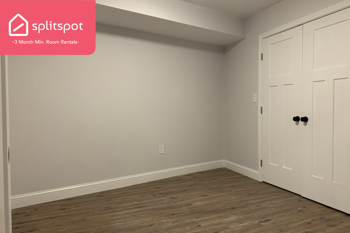 Primary Photo - Private room in 3 bedroom Boston Apartment...