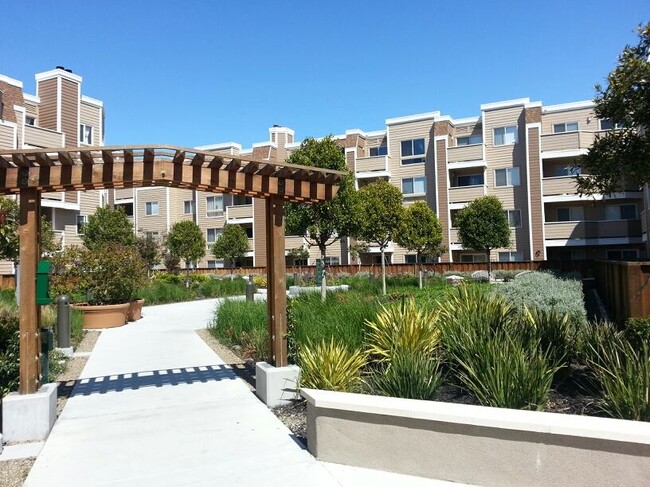 Courtyard - 6400 Christie Ave