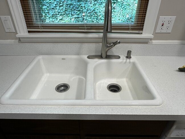 Double kitchen sink with view of nature. - 2154 Willowgrove Ave