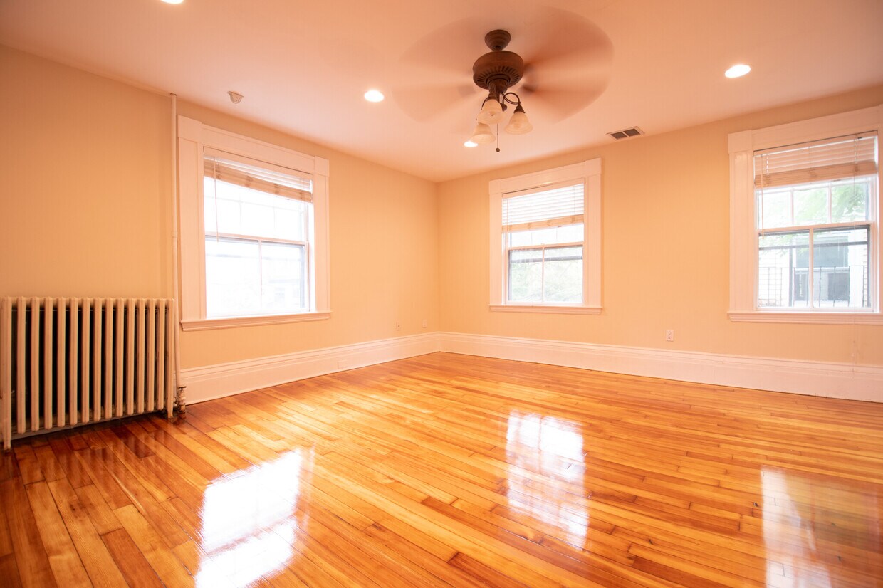 Primary Photo - 20 Ellery St