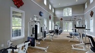 This single-floor fitness center is designed to provide a comprehensive workout environment with a bright, open, and welcoming atmosphere. The space is defined by its impressively high ceilings, which lend a sense of openness and airiness throughout. Large windows are positioned along multiple walls, including clerestory windows near the ceiling line, flooding the interior with natural light and creating an energizing ambiance ideal for exercise.

A set of elegant French doors at the far end of the space opens to views of lush, tree-lined greenery outside, seamlessly connecting the indoor environment with the natural surroundings. The neutral, grey-toned walls are accented with white trim and tasteful wall décor, contributing to a clean and polished aesthetic.

The fitness center is outfitted with a varied selection of professional-grade strength machines, including cable systems, a multi-press station, and a seated row machine, among others. Cardio equipment is also present, rounding out the full-body workout capabilities of the space. The carpeted flooring provides comfort underfoot while maintaining a tidy appearance throughout. A wall-mounted flat-screen television is positioned for easy viewing during workouts. Overall, this fitness center offers a well-appointed and inviting setting for a thorough and enjoyable exercise experience.