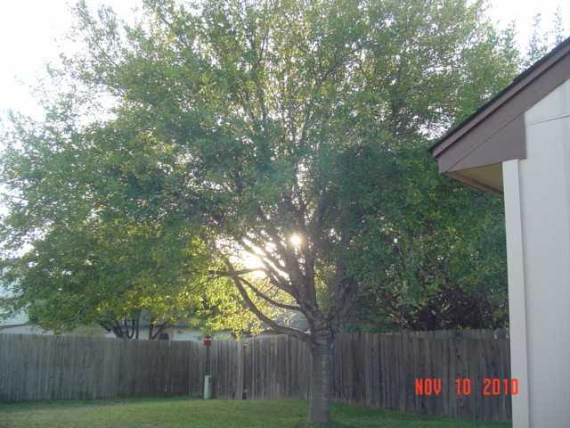 Building Photo - 8760 Birmingham Dr