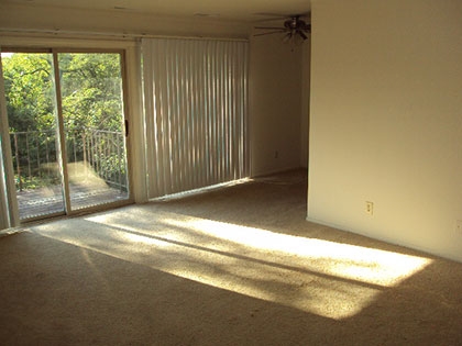 Living Room - Carriage House