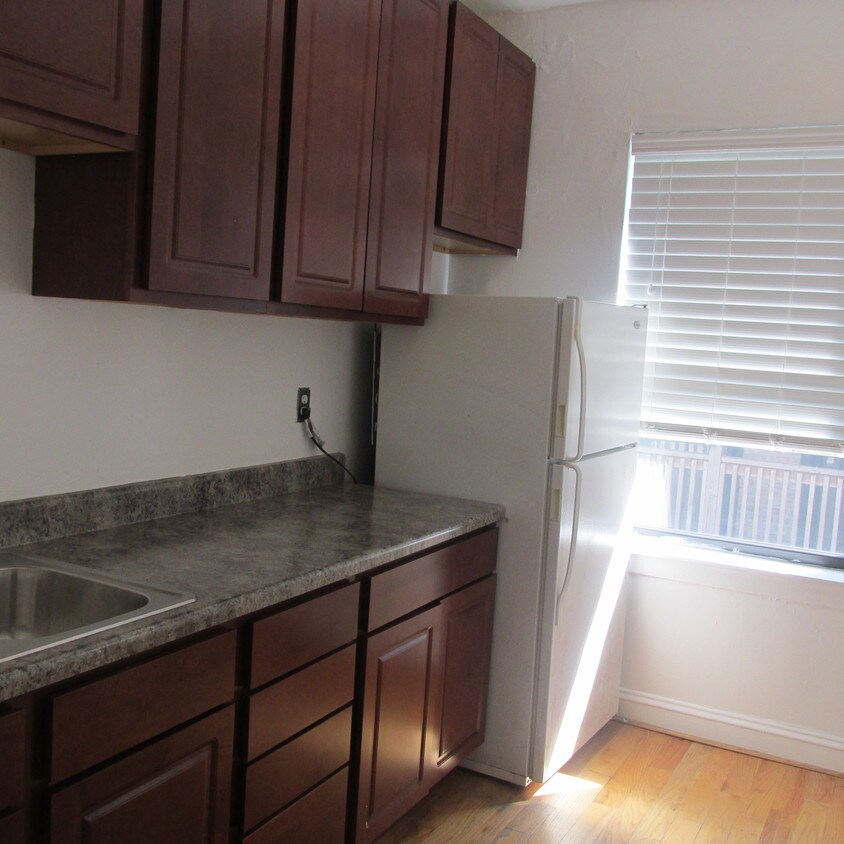 Primary Photo - Awesome 1BR Hyde Park Unit - Heat Included!