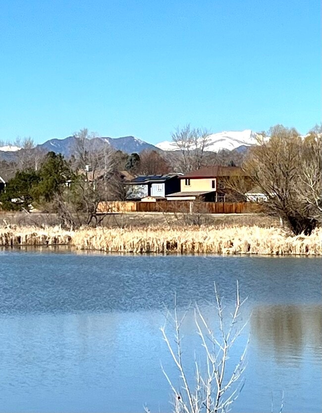 Pond behind the house - 13176 Alcott Pl