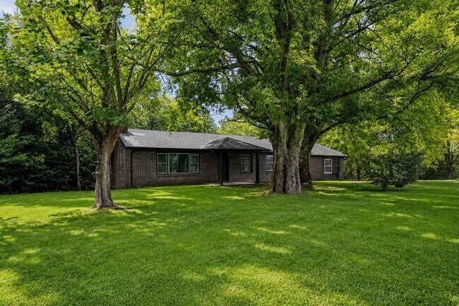 Foto del edificio - 905 Lynn Dale Ln