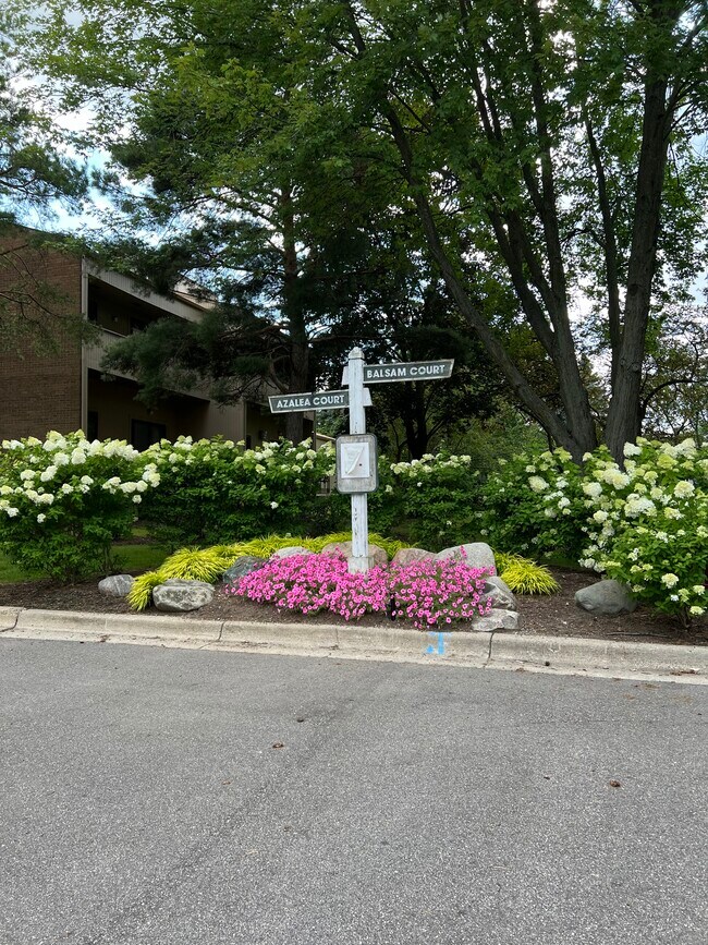 Foto del edificio - 7324 Balsam Ct