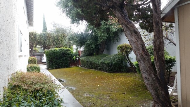 Foto del edificio - 956 Paula St