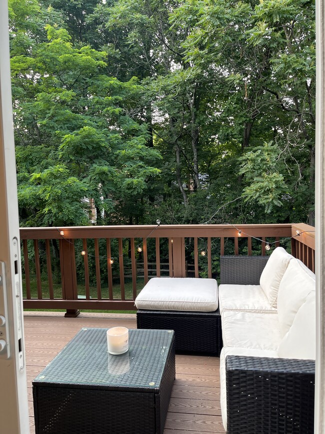 Deck leading from the Kitchen - 11366 Baroque Rd