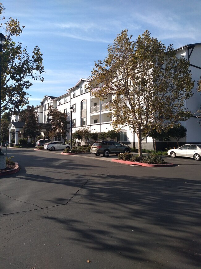 Heritage Estates Senior Apartments Apartments 800 E Stanley Blvd