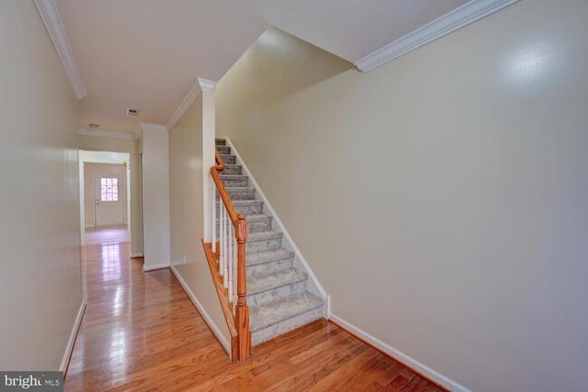 Building Photo - 536 Van Dyke Cir