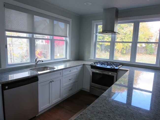 Kitchen - 203 Division St