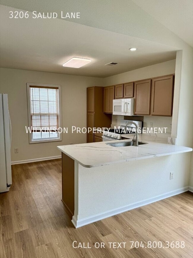 Building Photo - 3206 Salud Ln