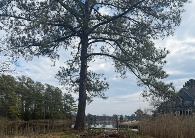 Foto del edificio - 1732 Rockwood Dr