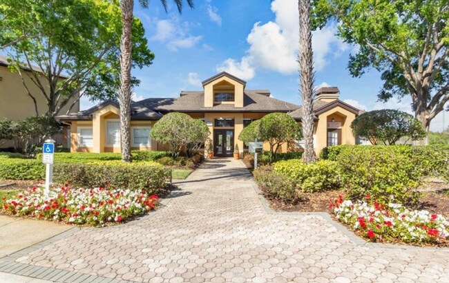 Curated visual reference: Doctor Phillips Apartments For Rent With High Ceilings Orlando Fl Photo Inspiration
