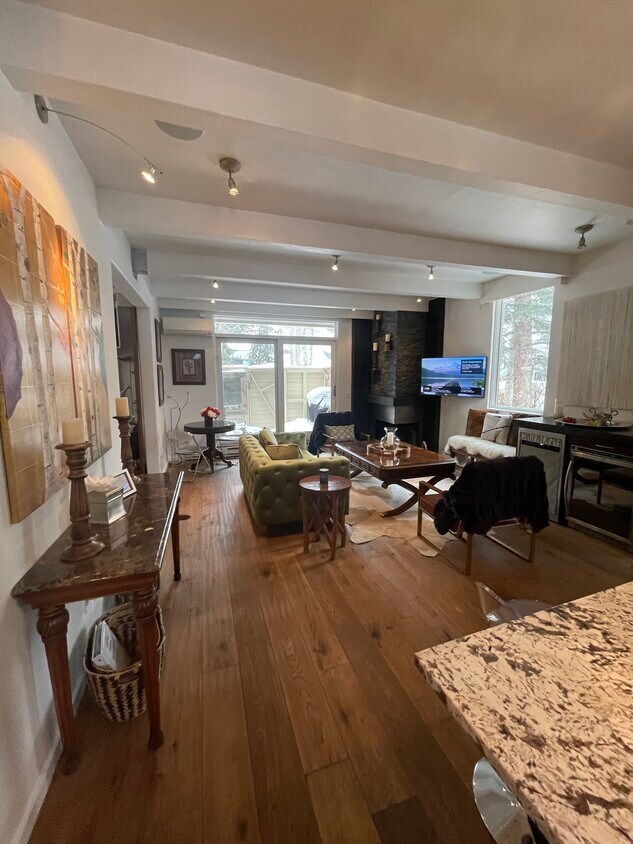 210 E Hyman Ave Unit 1, Aspen, CO 81611 Condo for Rent in Aspen, CO