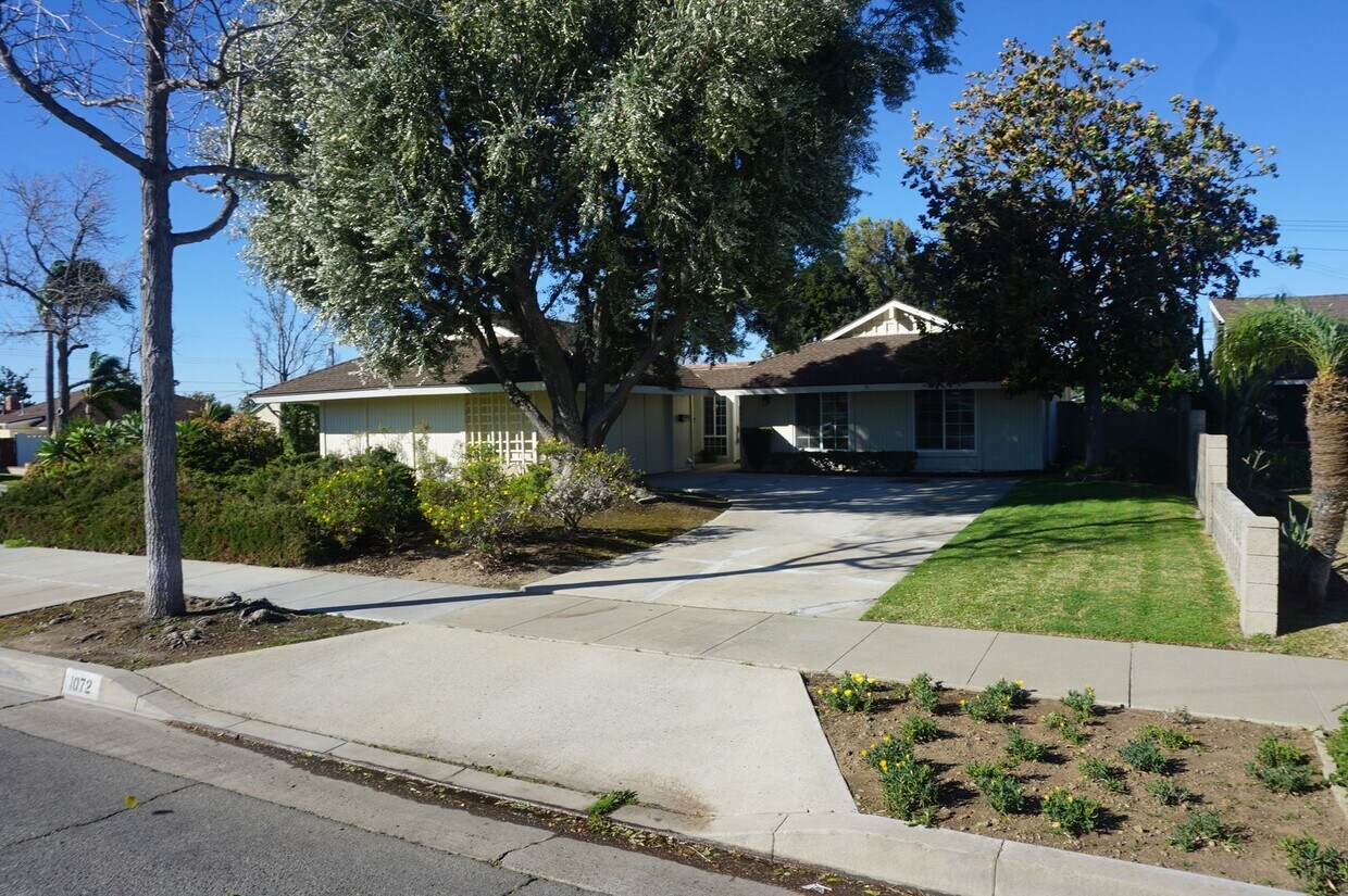 Primary Photo - Charming Single Family Home in Orange
