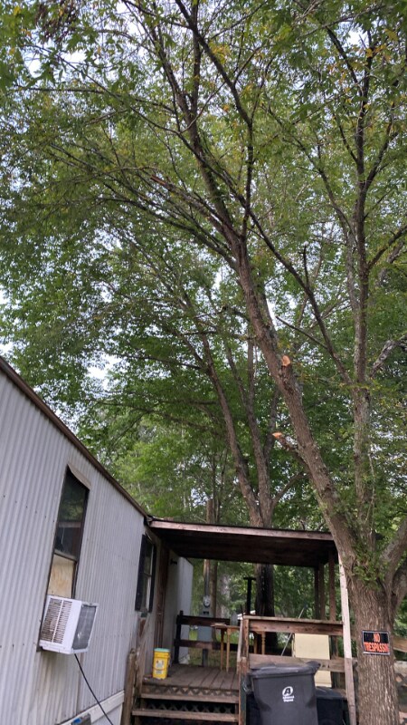 Foto del edificio - 205 Lick Creek Rd