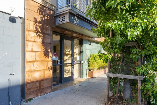 Entrance - 239 8th St