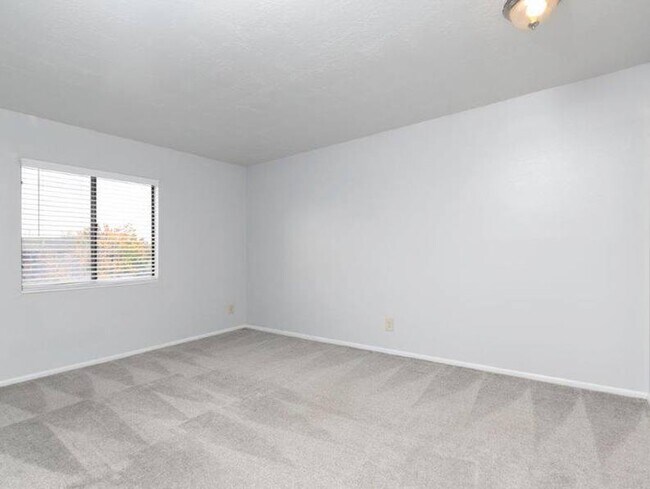 2x1.25 Renovado - Fox Creek