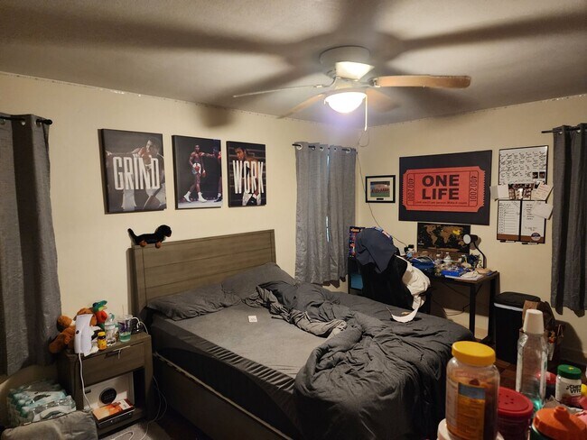 Foto del edificio - 4 bedroom 2 bath near the University of Florida law school