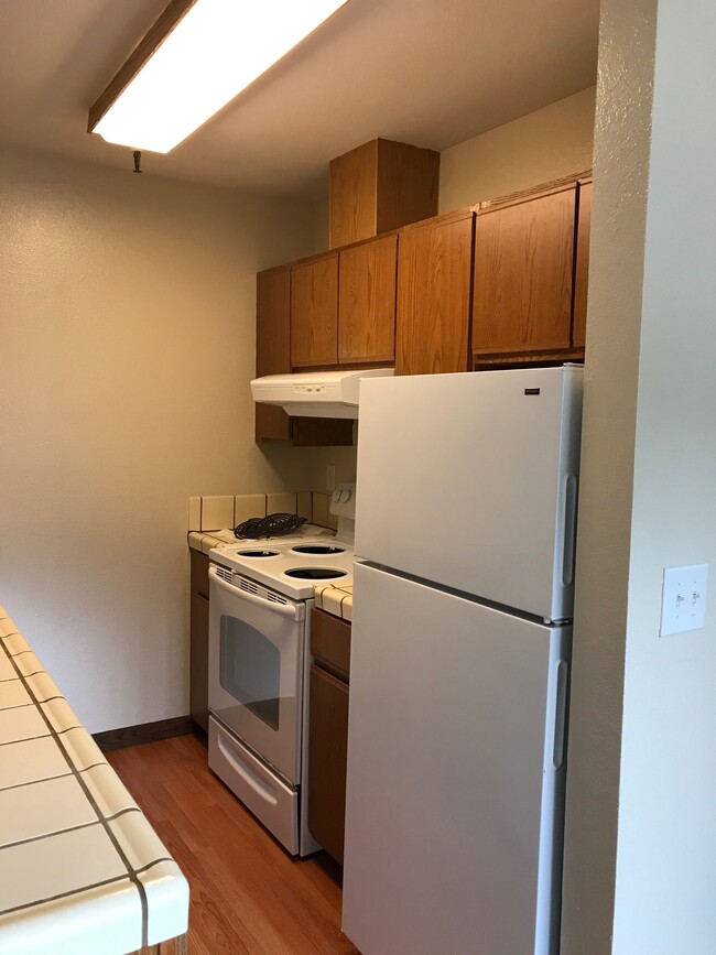 Kitchen - 362 Alida Way