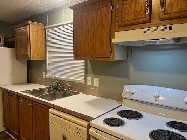 Foto del edificio - 13074 Pine Trail Ct